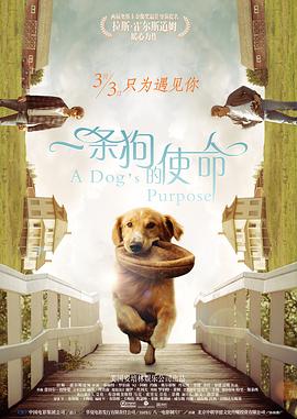 成人免费手机在线看网站