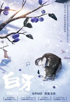 透明性和她的黑洞