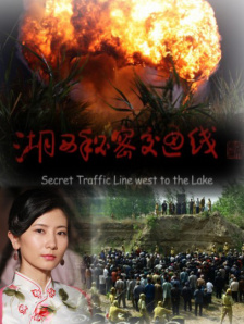 综合88