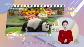 欧美极品另类